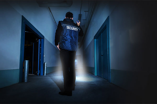 InterActive Patrol Guard Tour